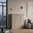 Kommode Wewak 07, Farbe: Sonoma Eiche - Abmessungen: 98 x 110 x 42 cm (H x B x T)