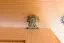 Kleiderschrank 195 cm hoch