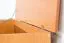 Truhe Holztruhe Kiefer massiv Vollholz Erlefarben 180 – 50 x 120 x 48 cm (H x B x T), Sitztruhe