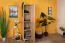 Schrank Kiefer