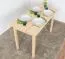 Tisch 60 X 120