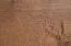 Vitrine Selun 10, Farbe: Eiche Dunkelbraun / Grau - 197 x 50 x 43 cm (H x B x T)