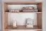 Regal Cuarto 08, Farbe: Eiche Sonoma - 173 x 80 x 34 cm (H x B x T)