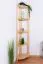 Regal 30 cm tief Und 40 cm breit