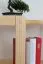 Regal 60 cm tief