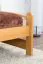 Einzelbett / Gästebett Kiefer massiv Vollholz Erlefarben 84, inkl. Lattenrost - 100 x 200 cm