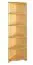Regal 200 cm hoch