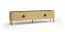 TV-Unterschrank / TV-Board Amfipoli 05, Soft-Close-Funktion, Farbe: Eiche Baltic, Griffe & Beine: Metall, vier Türen, Maße: 54 x 200 x 40 cm, zwei Fächer