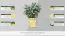 Blumenkasten Alpina 1 inkl. Stoffeinsatz - Abmessung: 35 x 35 x 42 cm  (B x T x H)