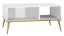 Couchtisch Roanoke 08, Farbe: Weiß / Weiß Glanz - Abmessungen: 90 x 60 x 42 cm (B x T x H)