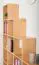 Regal "Easy Möbel" S17, Buche Vollholz massiv Natur - 168 x 182 x 20 cm (H x B x T)